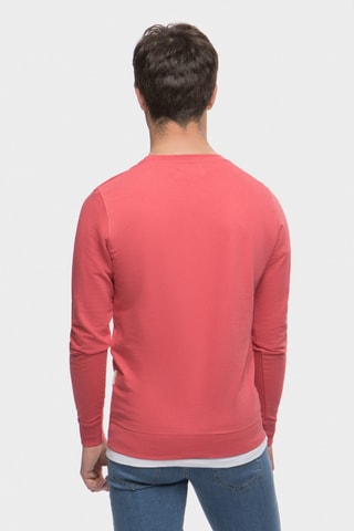 Sweat - Rose