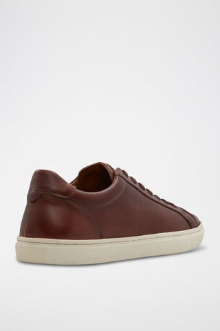 Baskets en cuir Classicspec - Marron