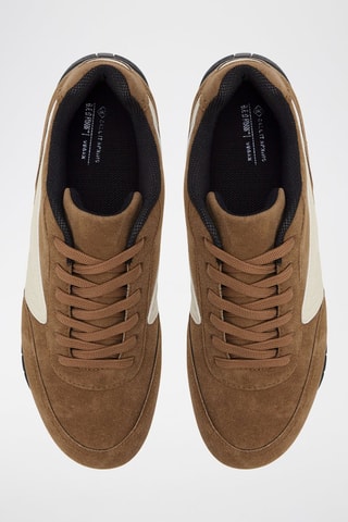 Baskets Pantherra - Marron