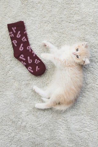 Pack 2 paires de chaussettes de Noël - Vert foncé