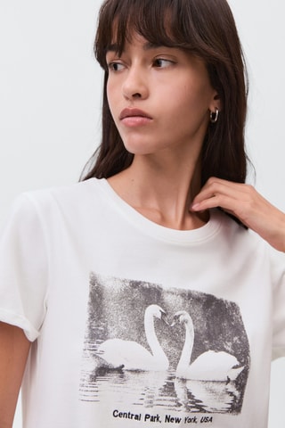 T-shirt coton imprimé cygnes - Blanc