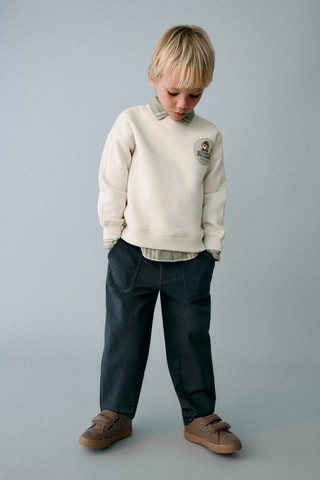 Sweat-shirt imprimé lion - Gris