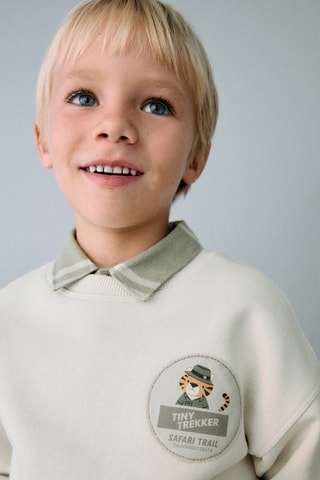 Sweat-shirt imprimé lion - Gris