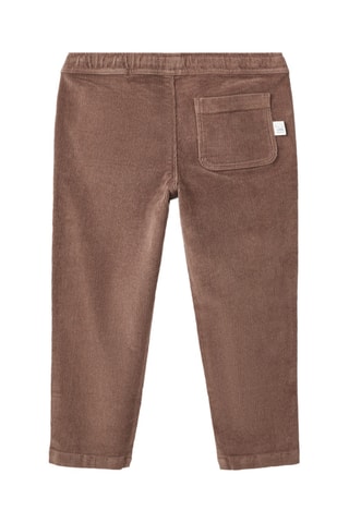 Pantalon coton velours côtelé - Marron