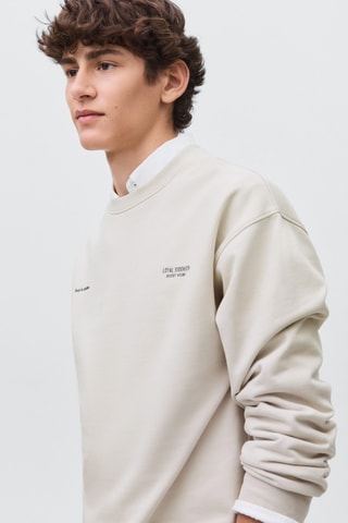 Sweat-shirt coton imprimé - Gris clair