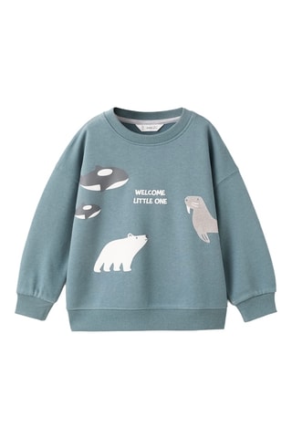 Sweat imprimé animal - Vert clair