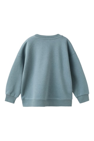 Sweat imprimé animal - Vert clair