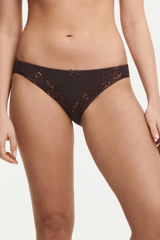 Culotte Champs el - Marron - Chantelle