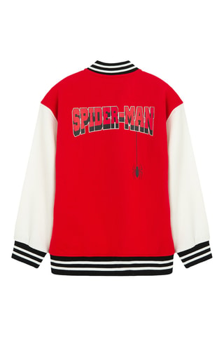 Teddy Spider-Man Avengers Marvel - Rouge