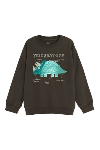 Sweat - Marron foncé