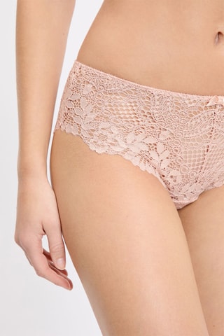 Shorty Success - Rose