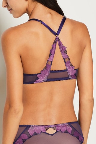 Culotte Exaltee - Violet - Etam