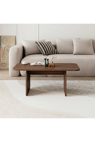Table basse - 100 x 60 x 42 cm