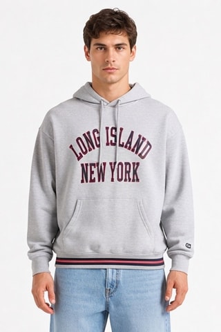 Sudadera con capucha - Gris claro jaspeado