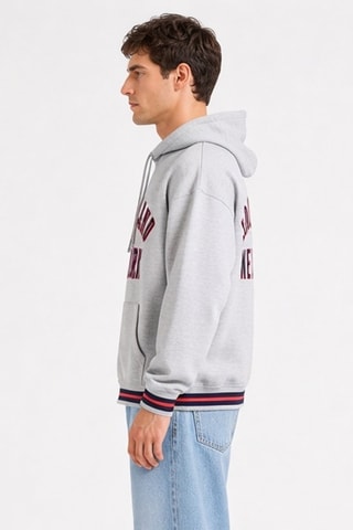 Sudadera con capucha - Gris claro jaspeado