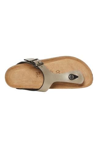Chanclas - Marrón
