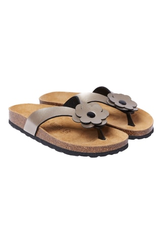 Chanclas - Marrón