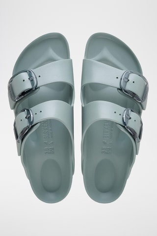 Mules Arizona - Vert