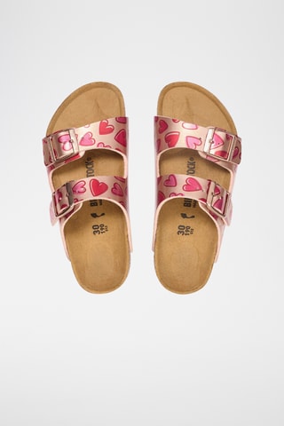 Mules Arizona - Rose