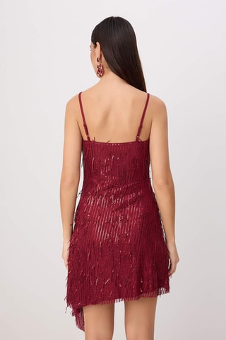 Robe patineuse - Bordeaux