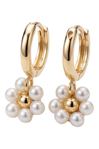 Boucles d'oreilles - Laiton plaqué or & perles