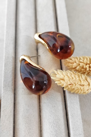 Puces - Marron