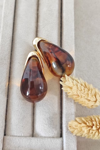 Puces - Marron