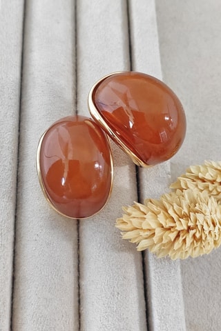 Puces - Marron
