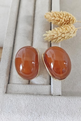 Puces - Marron