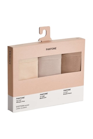 3 slip - Nude e marrone