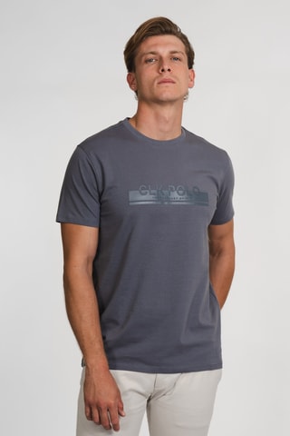 T-shirt regular - Grigio