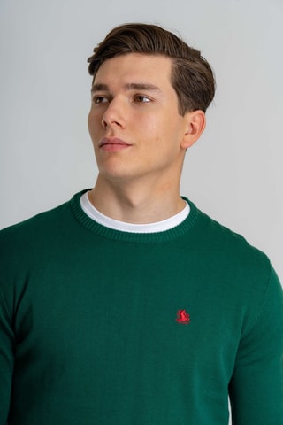 Maglia regular - Verde