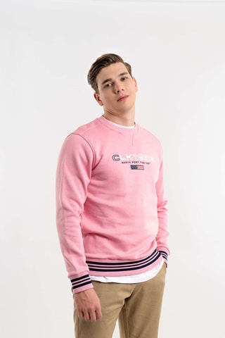 Felpa regular - Rosa