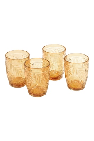 4 verres à eau Oasis - 300 ml