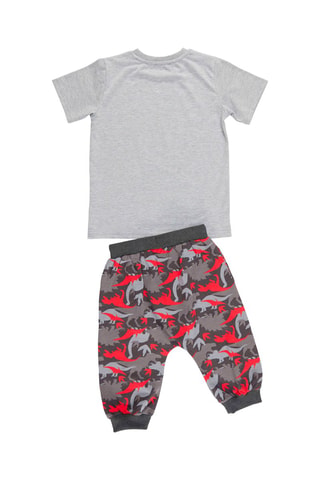Camiseta y sarouel - Rojo y gris