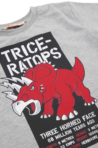 Camiseta y sarouel - Rojo y gris