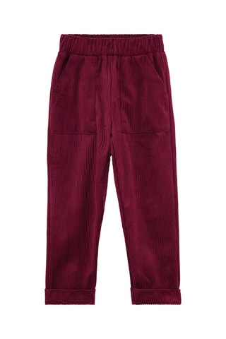 Velours Broek - Bruin