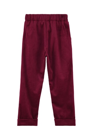 Velours Broek - Bruin