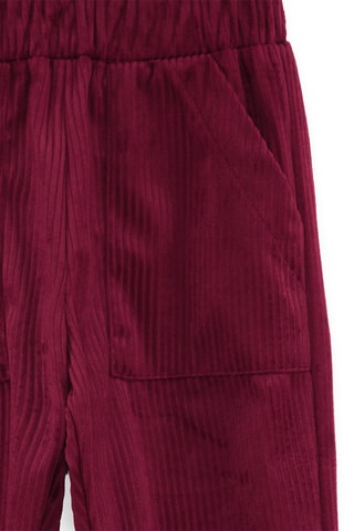 Velours Broek - Bruin