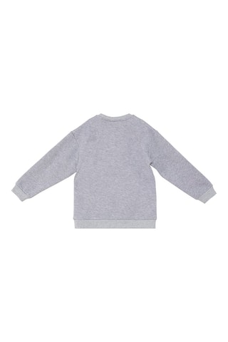 Sweater - Grijs