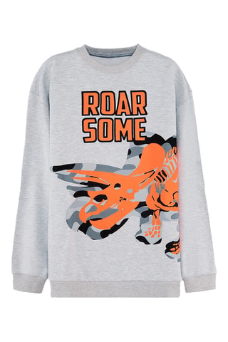 Sweater - Grijs
