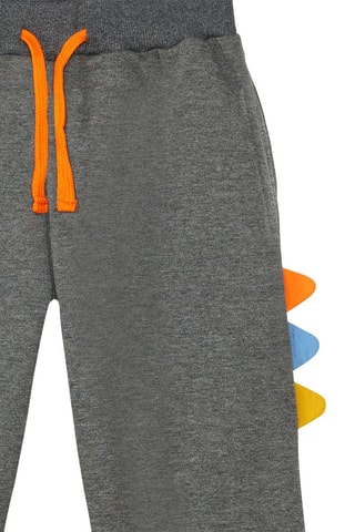 Sudadera y pantalón de chándal - Denokids - Gris