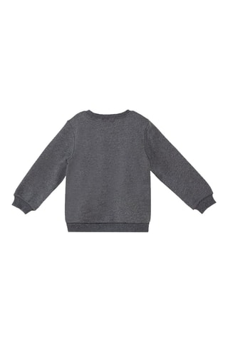 Sweater en Joggingbroek Grijs - Denokids - Grijs
