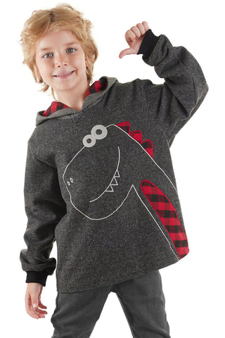 Sweater met Capuchon - Grijs