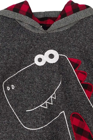 Sweater met Capuchon - Grijs