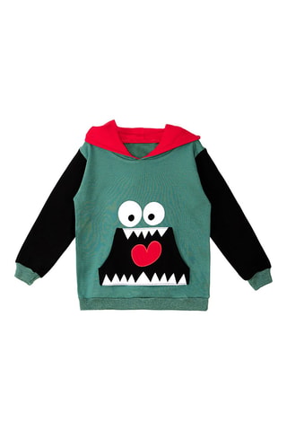 Sweater met Capuchon Groen - Marineblauw en groen