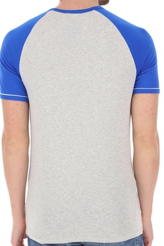 Camiseta - Azul y gris