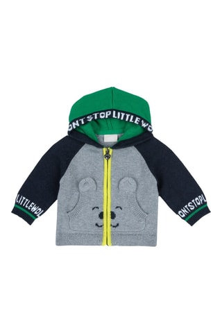 Gilet à capuche - Gris