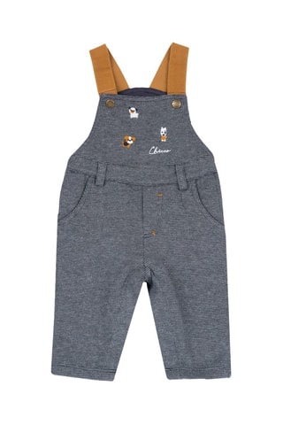Peto - Gris
