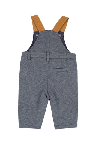 Peto - Gris